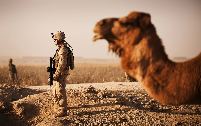 a man standing in front of a camel with another camel