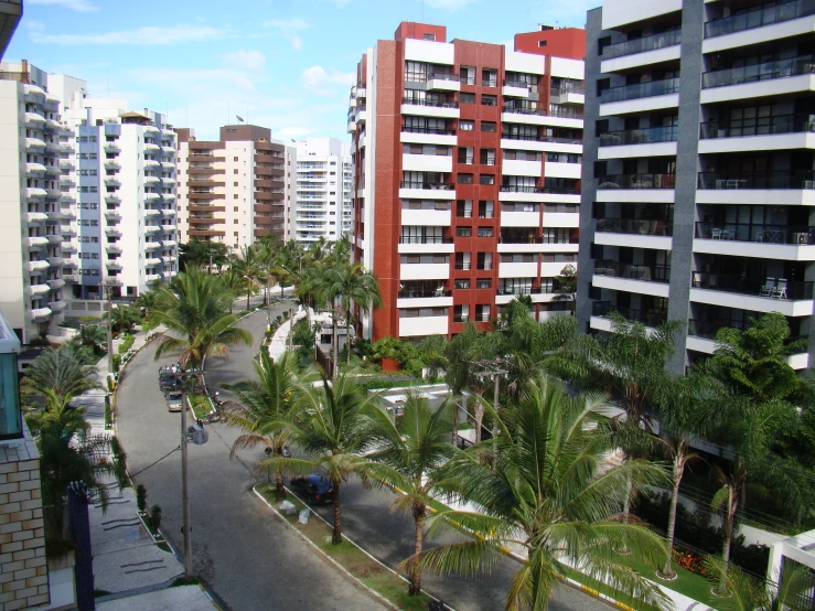 view of street, building and palm trees from balcony
