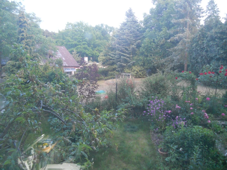 looking down on a garden and a fenced in area