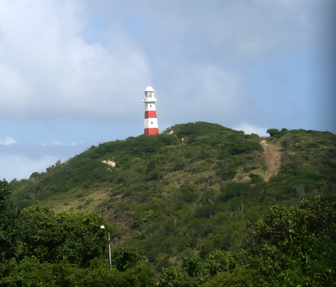 a small light tower with trees around it