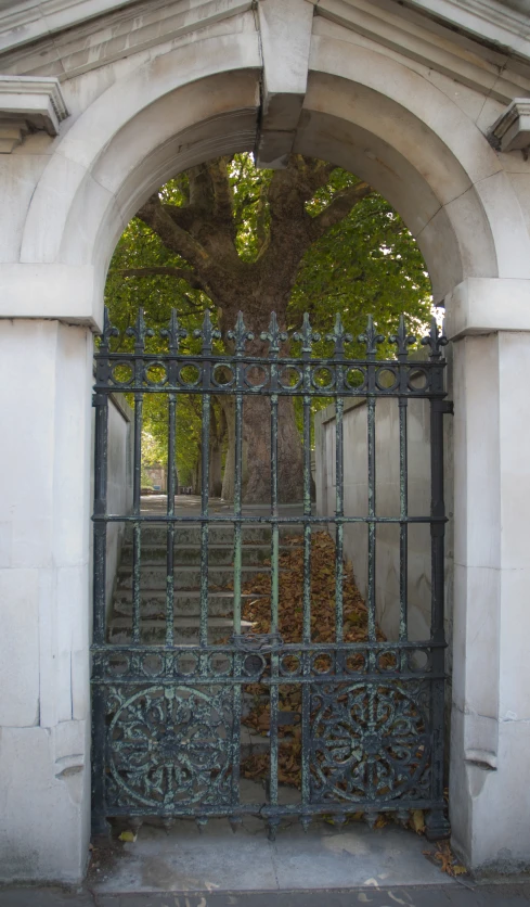 a gated entry way leading to a tree