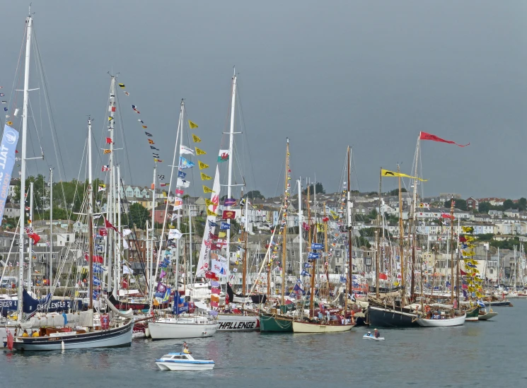 boats are lined up in the bay with flags