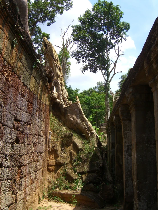 a narrow stone road leads to a large tree