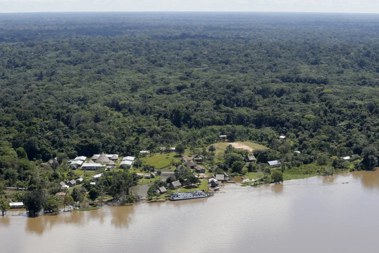 a view of a swampy area with trees and houses from the air