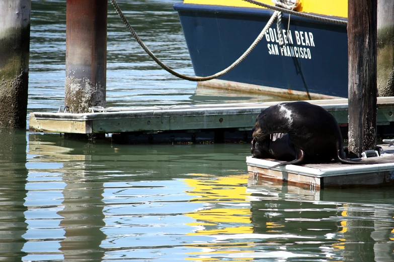 a big cute boat floating near some piers