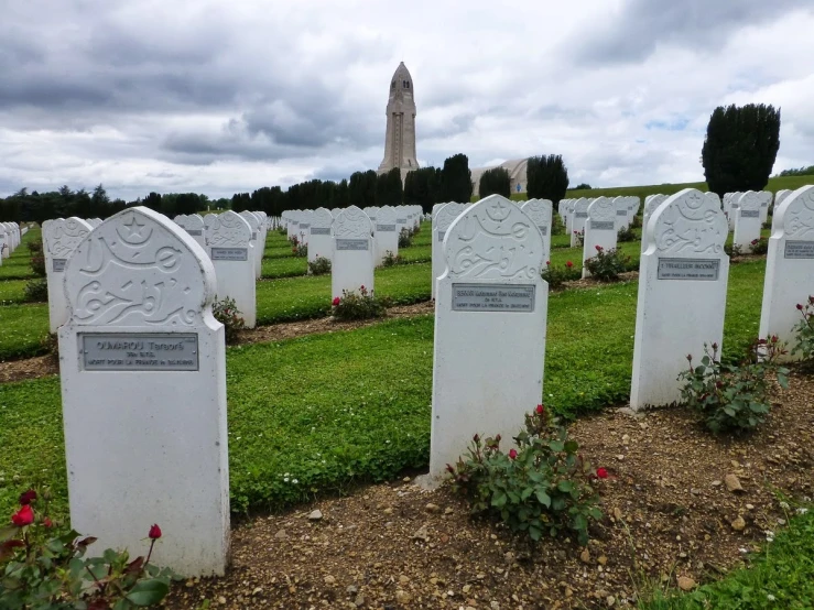 a group of white headstones near the grass in a cemetery