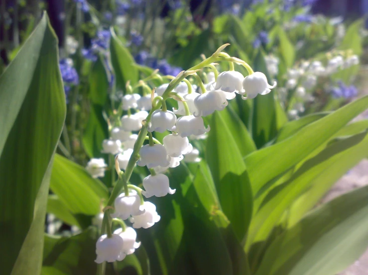 a bouquet of flowers that are standing up