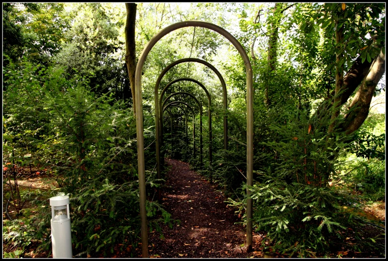 a path in a garden lined with trees and shrubbery
