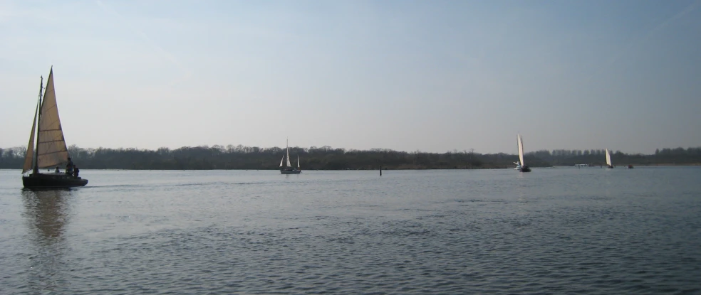 several sail boats on open water with trees in the background