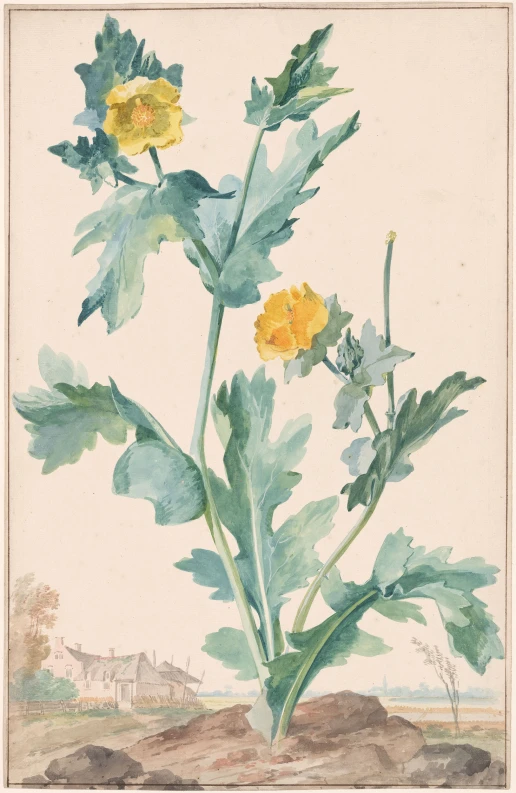 two yellow flowers growing from the dirt with watercolor paint