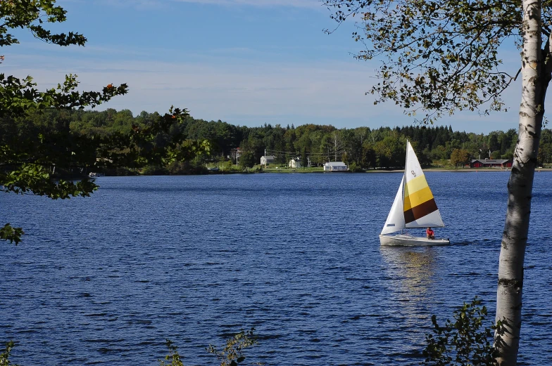 small white sailboat on a lake with trees in the foreground