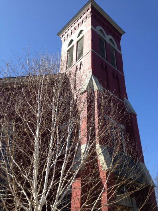 a tree with no leaves stands in front of a red building