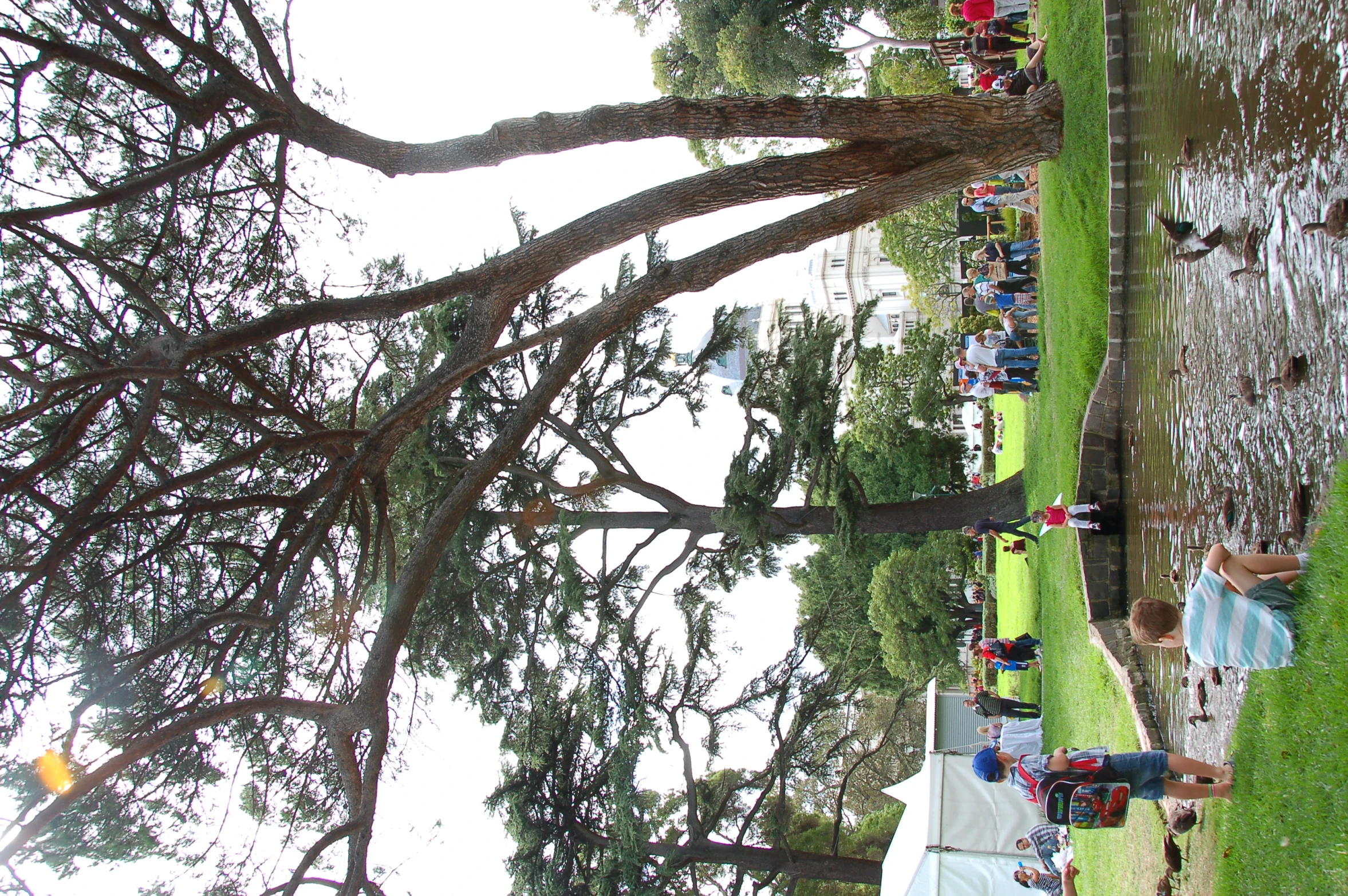 a lot of people on the grassy field next to a pond