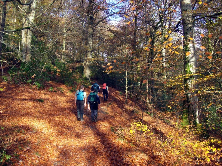 several people walking down a dirt trail through the forest