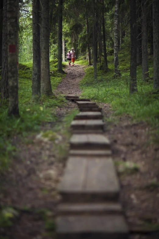 a person on a bike in a forest surrounded by trees