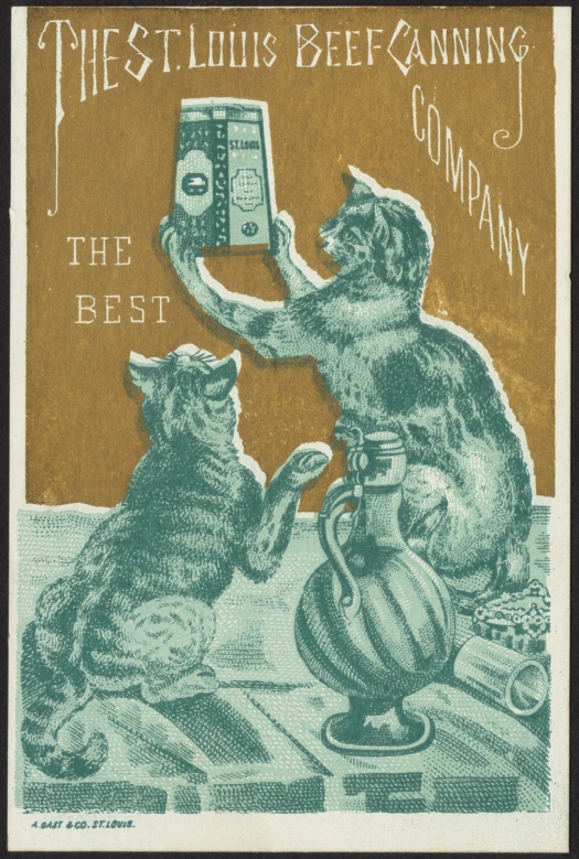 a picture of two cats on the cover of the st louis beef canning company