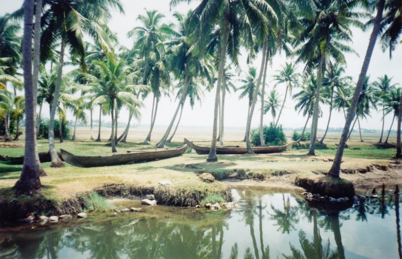 a pond surrounded by palm trees next to a sandy shore