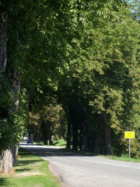 the signs are in trees, by the road