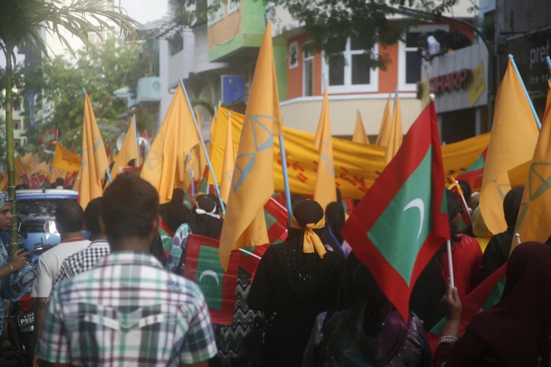 a group of people holding flags that are standing in the street