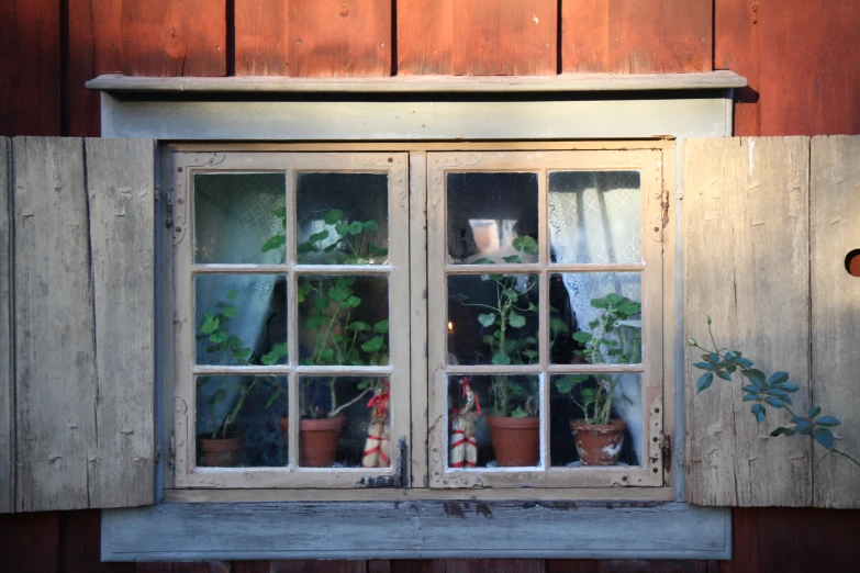 some plants are in pots inside a window