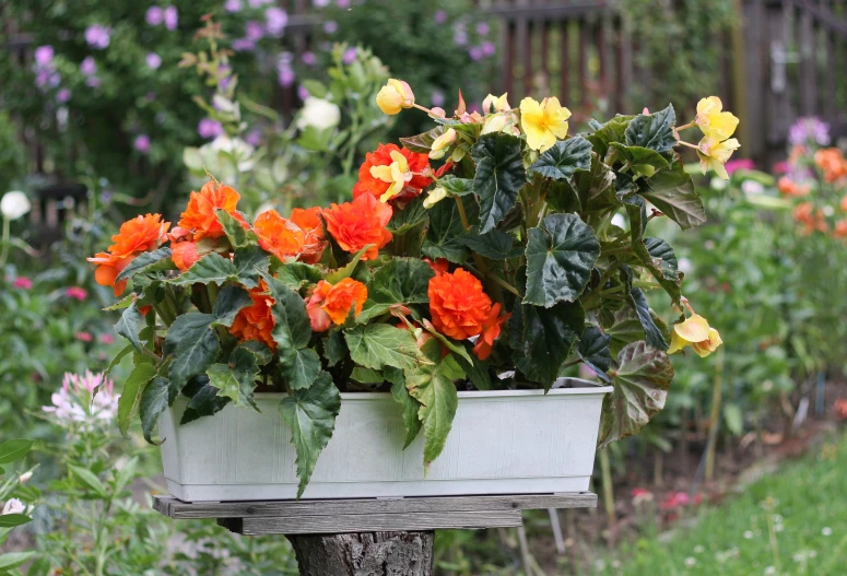 an assortment of colorful flowers are in a container