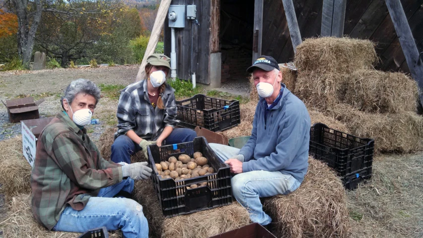 three men sitting on top of hay bales wearing face masks