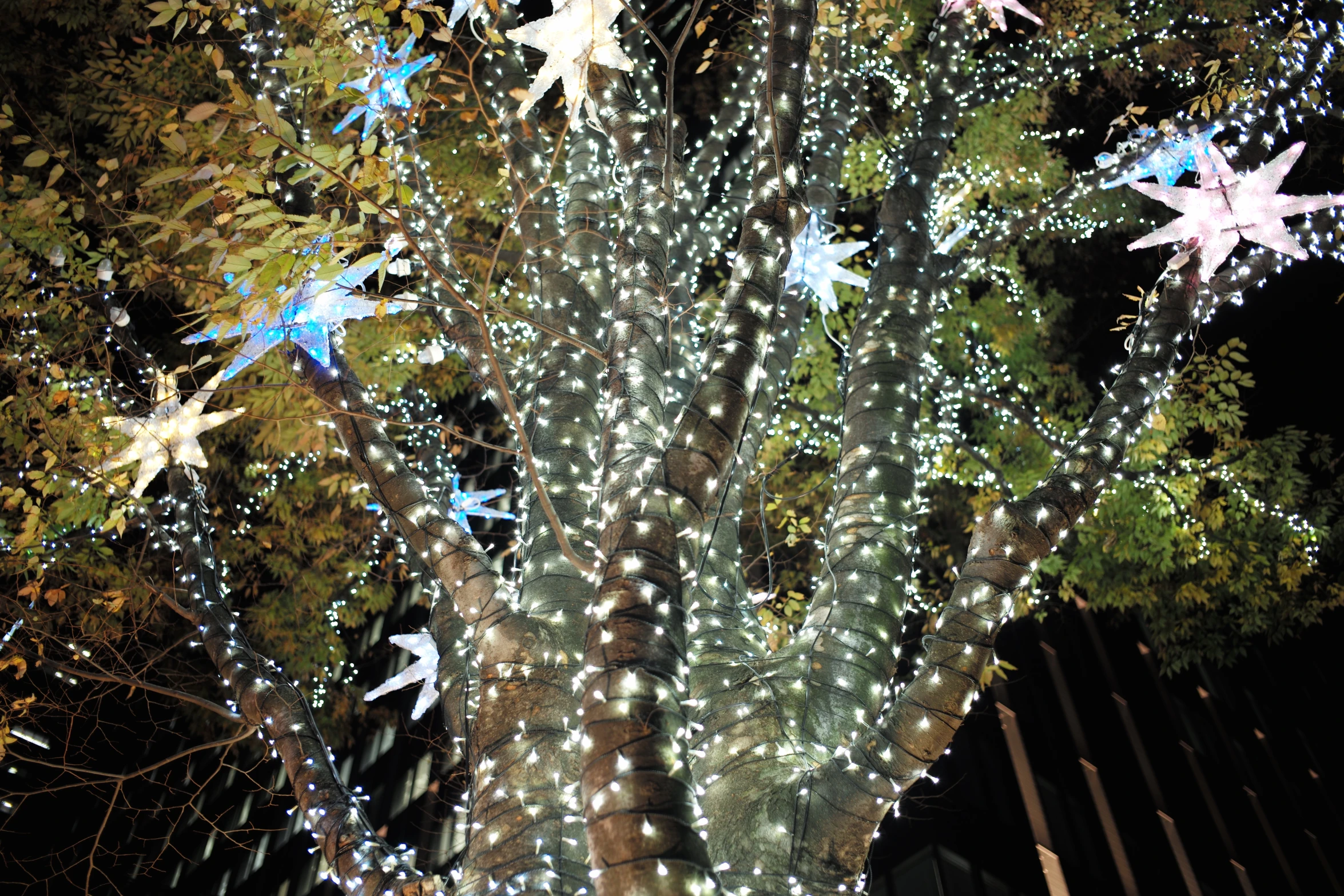 christmas decorations hanging from a tree on display