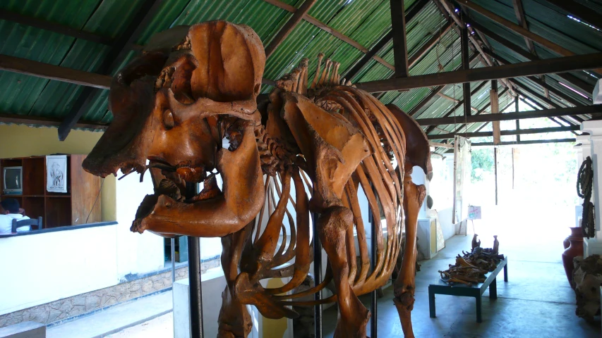 an exhibit featuring a large wood horse and an artificial skeleton