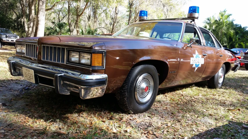 an old brown police car parked on the grass