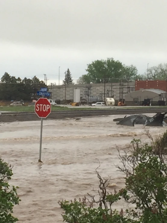 a stop sign in the middle of flood waters