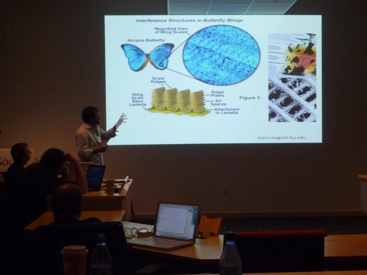 two people giving a lecture on the topic of microtubts