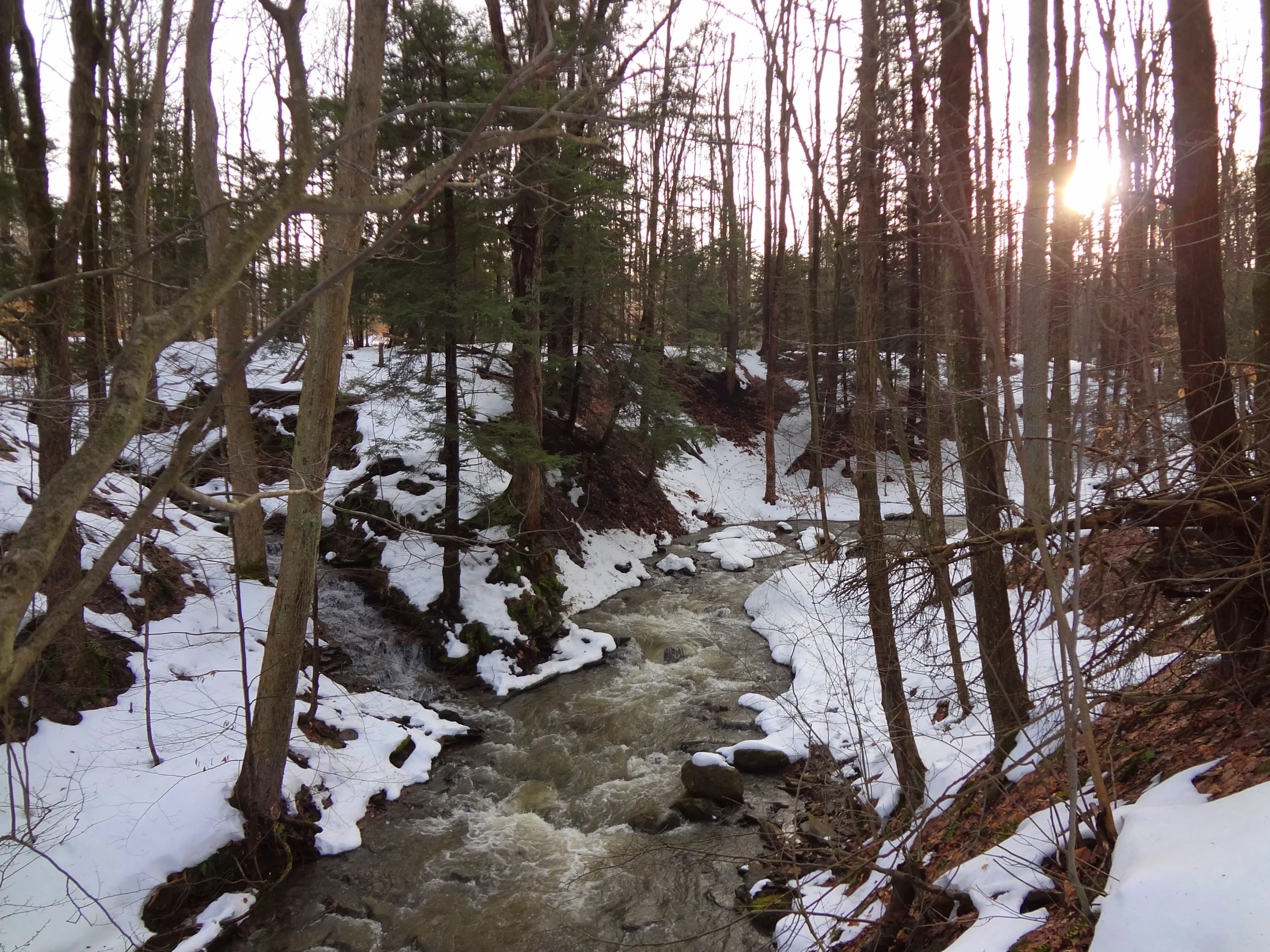 the sun rises over the snowy creek in the forest