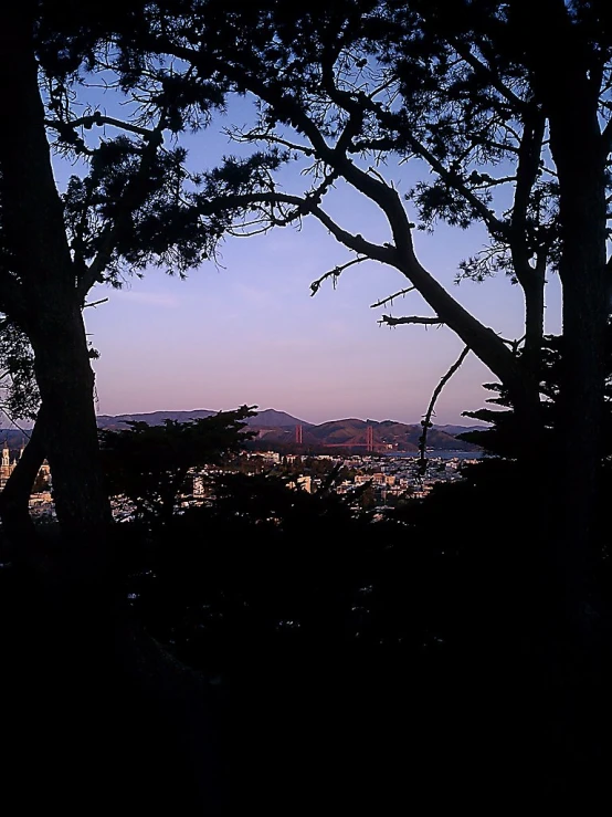 the view out over the trees, with no one around