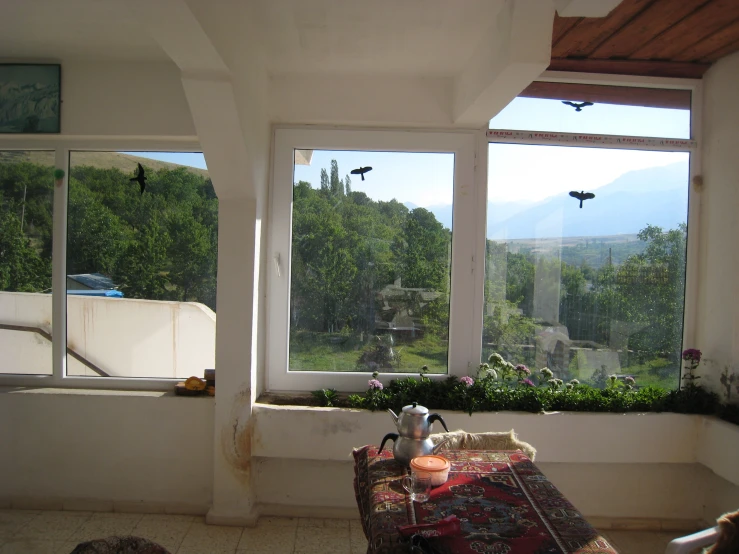 three birds flying past large windows overlooking mountains