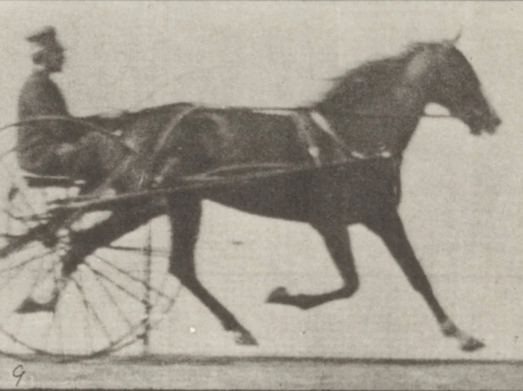 a horse pulling a wagon with it's wheels on it