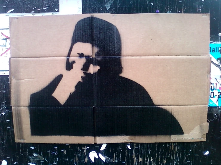 a cardboard with a portrait of the star trek spock on it
