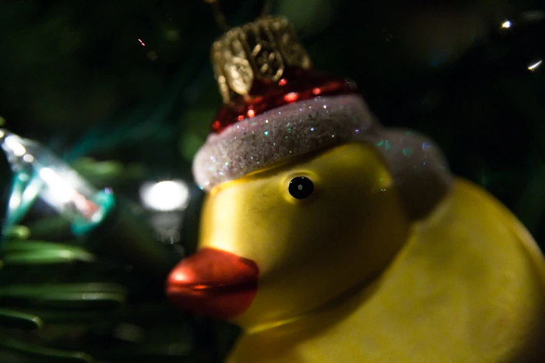 a yellow rubber ducky with a red hat