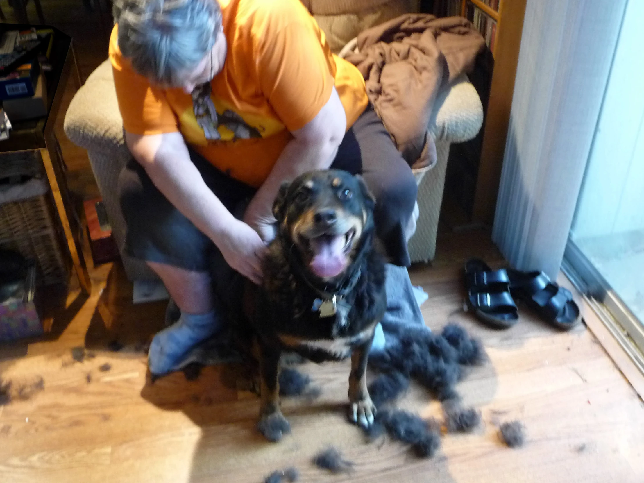 two older ladies petting one of the dogs