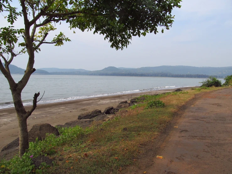 a lone motorcycle driving along an island near the ocean