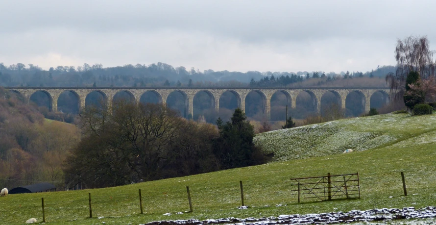 sheep grazing on a hillside next to a bridge