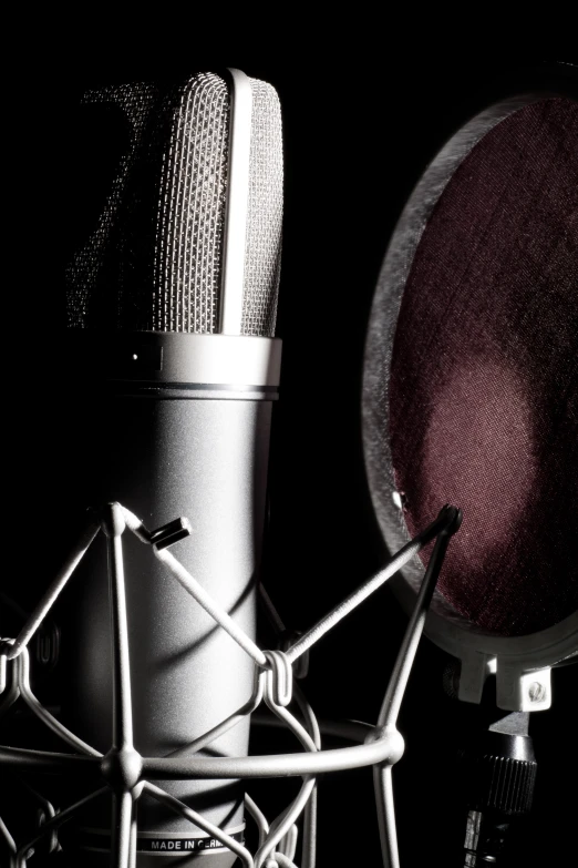 a black and white po of a microphone and a hat