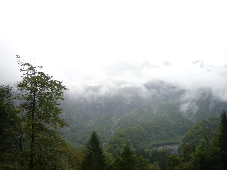 some trees and hills covered in clouds near some water