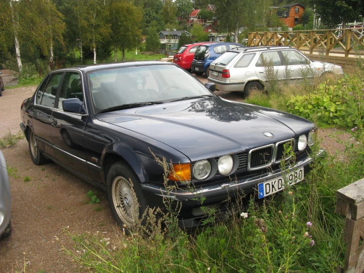 a parked black car in weeds by a walkway