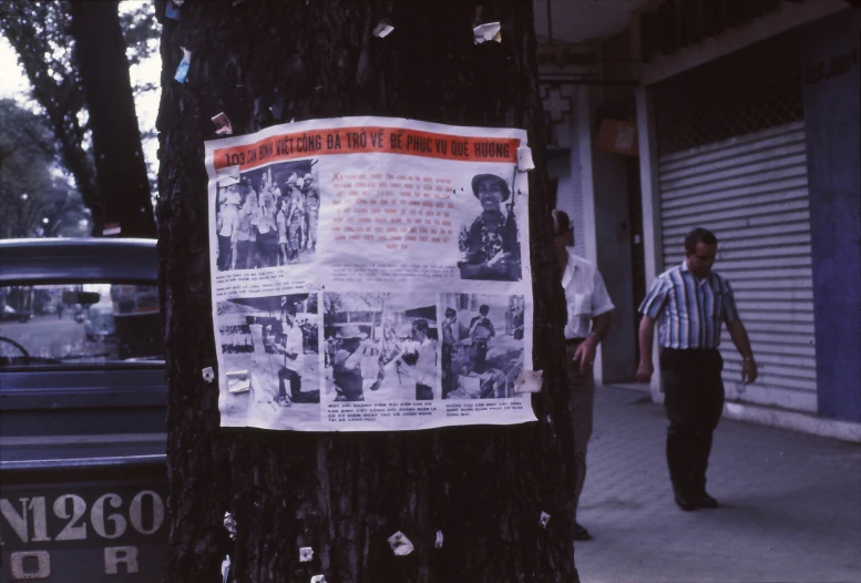 newspaper with images on tree next to sidewalk