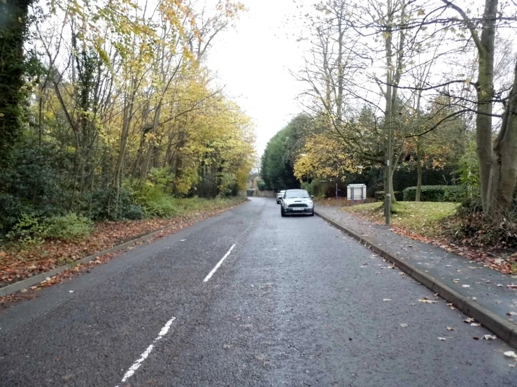 a car driving on a road in the woods