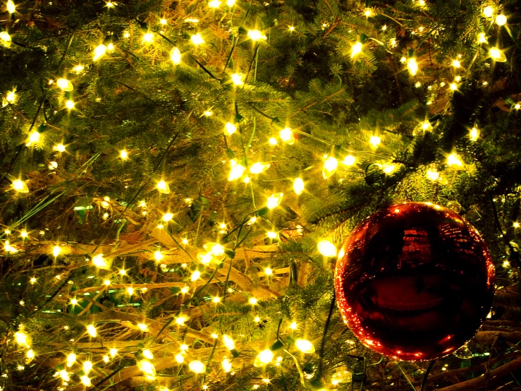 a christmas tree with a shiny ornament with lights on it