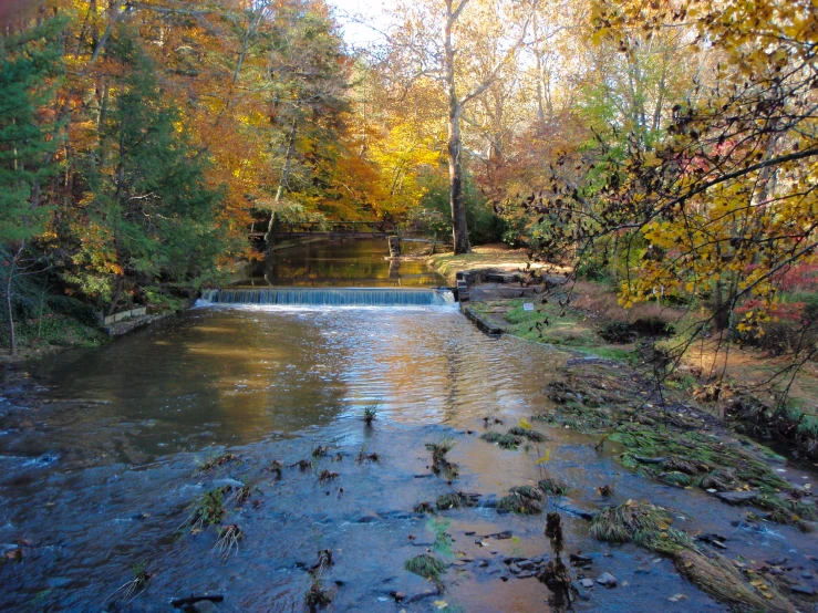 a river running through a forest surrounded by fall foliage