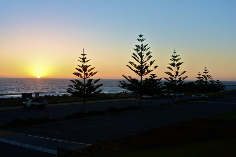 trees on either side of the road with sunset