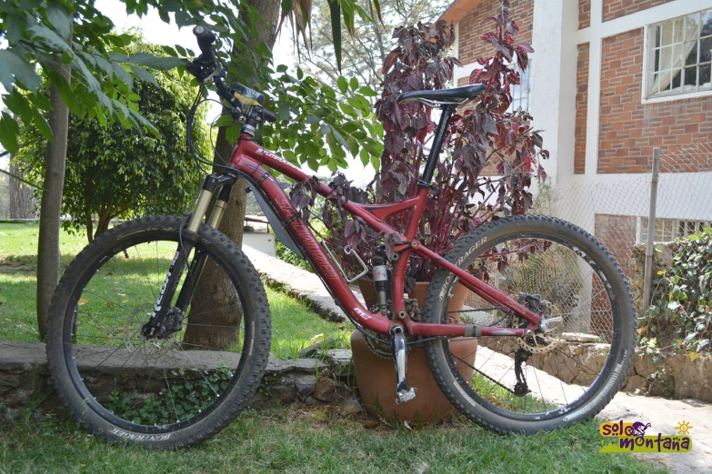 a red bicycle with a tree and house in the background