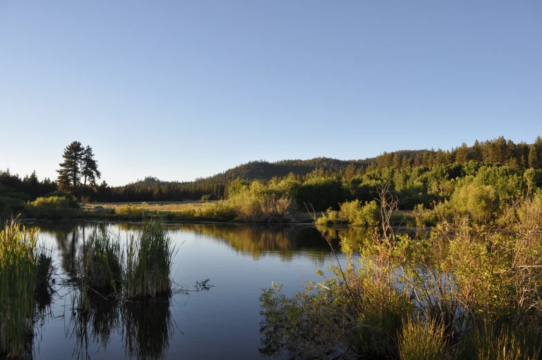 the water is calm and there are many trees around